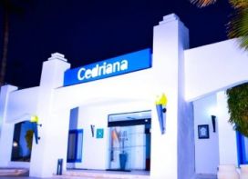 CEDRIANA
